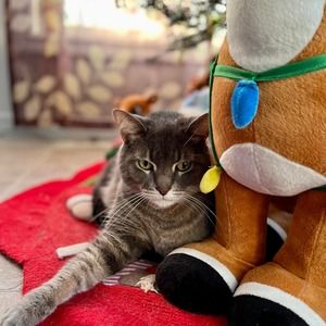 Meet your Posher, Mel